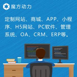定制.net/java/php/h5網站商城app小程序pc軟件系統oa/crm/erp/hr