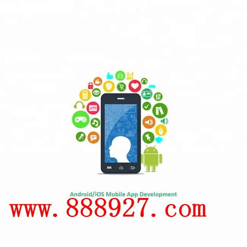 深圳西鄉(xiāng)企業(yè)app開發(fā)科技公司