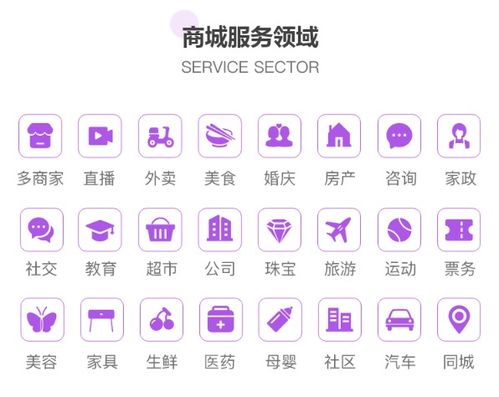 商城app開發(fā),到底是該選擇定制開發(fā)還是模板開發(fā)呢