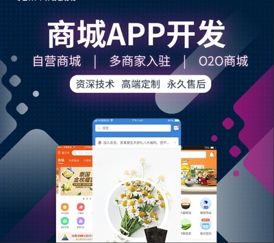 2023小程序乾隆宮廷醬商城系統(tǒng)開發(fā)(源碼交付)