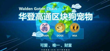 區(qū)塊狗app開發(fā)定制系統(tǒng)