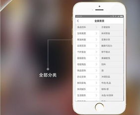 武漢app開發(fā) 百分完美的購物類app開發(fā)功能解說