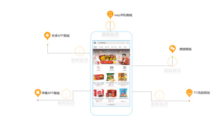 五位一體商城全網解決方案
