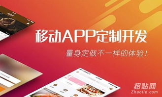 軟件app開發 app定制 app源碼原生開發